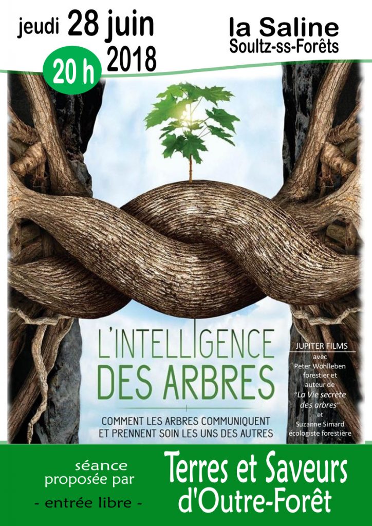Film "L'intelligence des arbres" @ La Saline